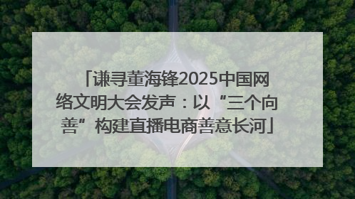 谦寻董海锋2025中国网络文明大会发声：以“三个向善”构建直播电商善意长河